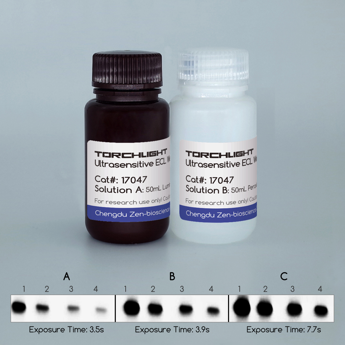 Detection antibody and detection auxiliary reagent